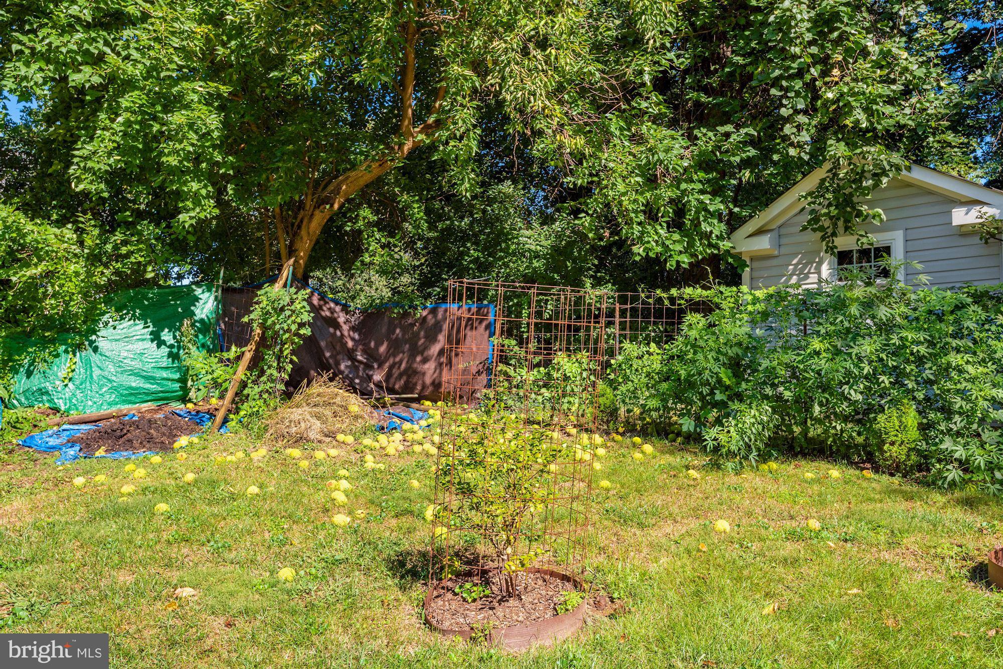 6042 Munson Hill Road Falls Church, VA 22044 - Photo 70 of 77 Backyard