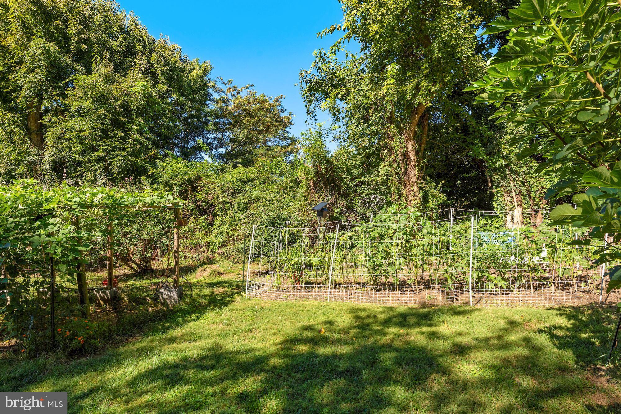 6042 Munson Hill Road Falls Church, VA 22044 - Photo 72 of 77 Backyard
