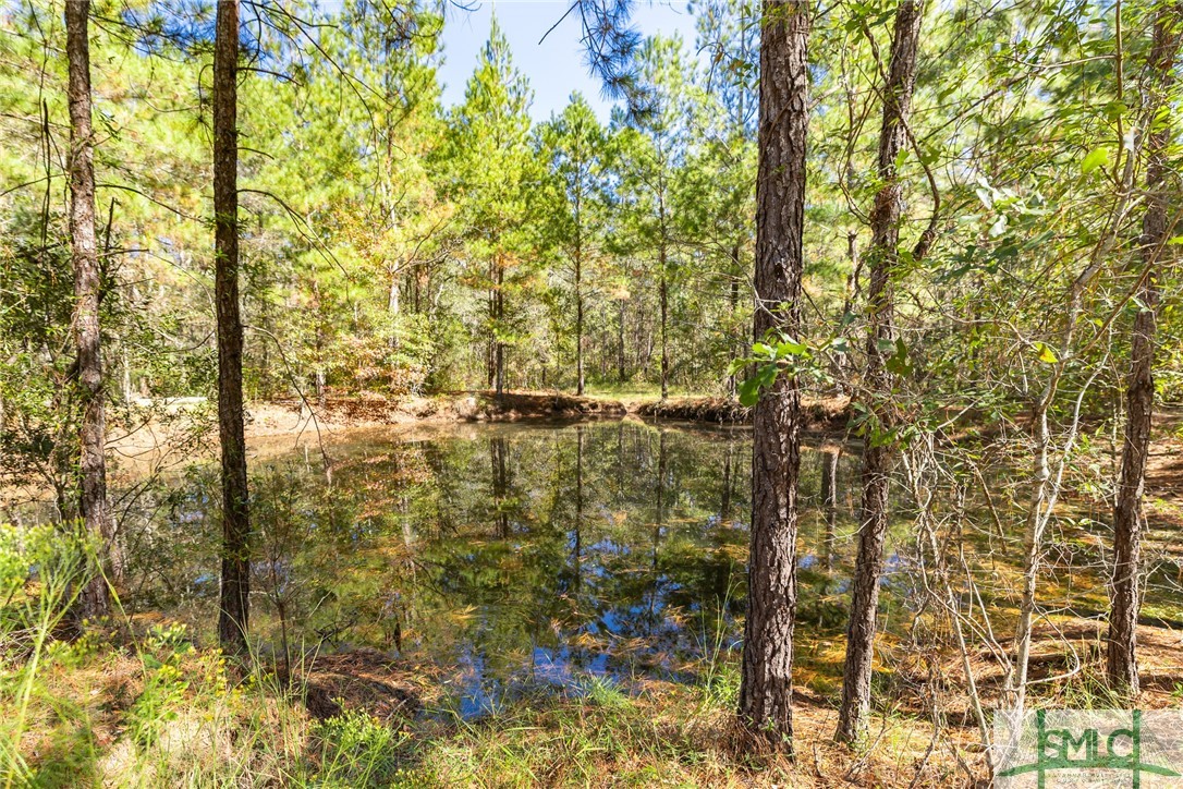 123 Bird Road Springfield, GA 31329 - Photo 13 of 26