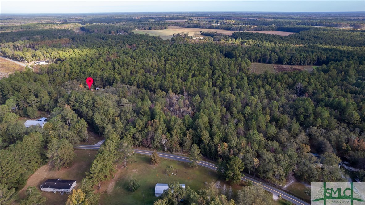 123 Bird Road Springfield, GA 31329 - Photo 16 of 26