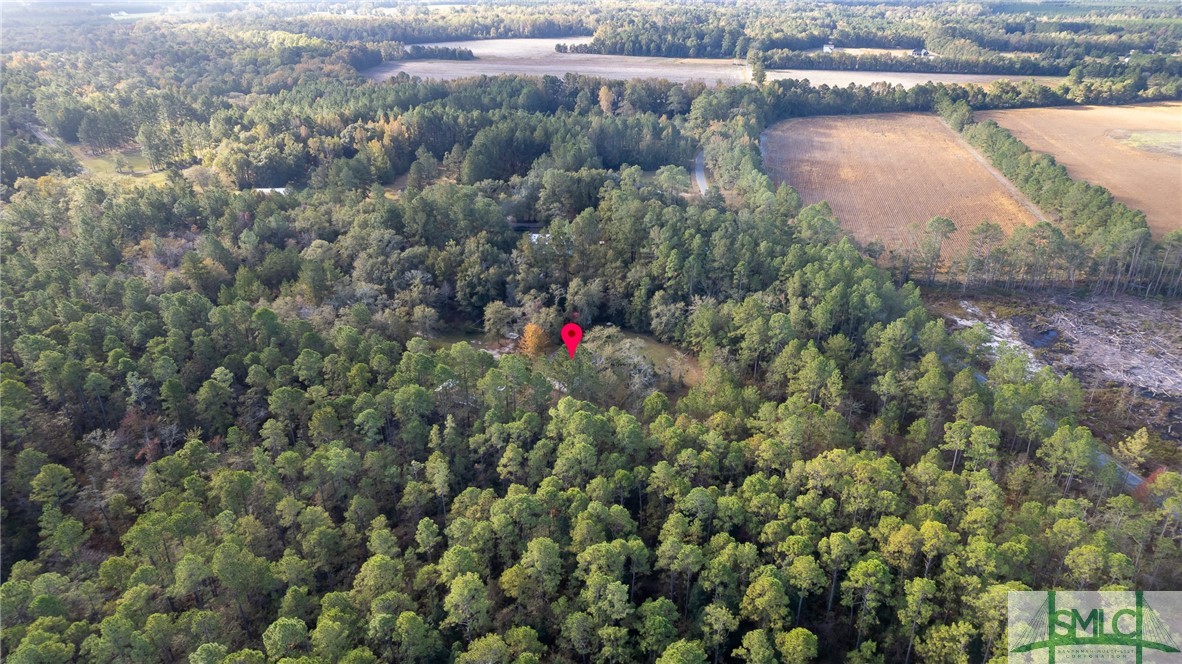 123 Bird Road Springfield, GA 31329 - Photo 21 of 26