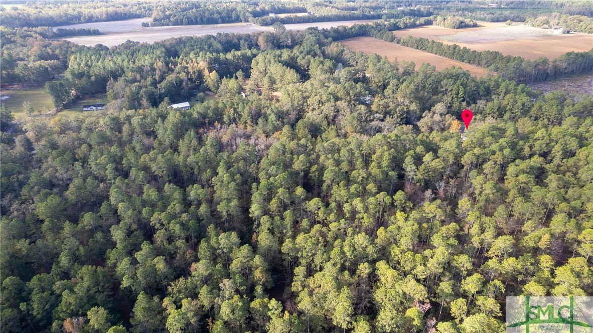 123 Bird Road Springfield, GA 31329 - Photo 23 of 26