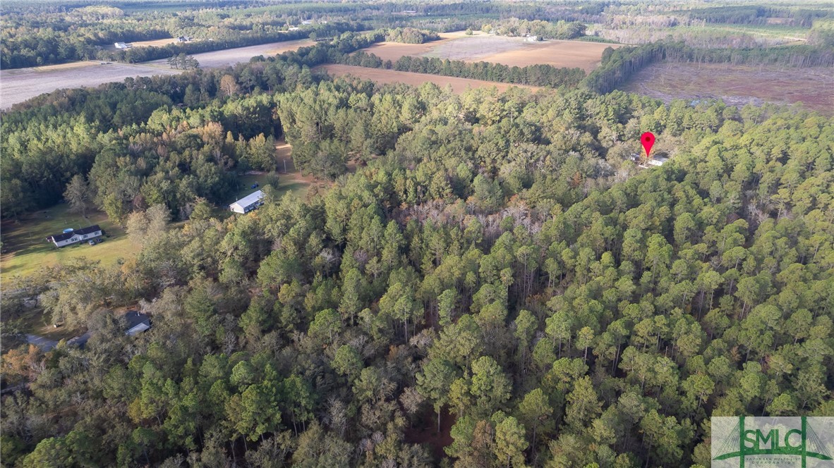 123 Bird Road Springfield, GA 31329 - Photo 24 of 26