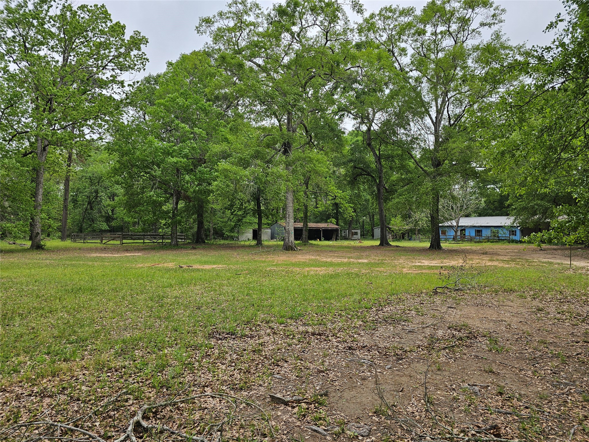15784 Tree Monkey Road Conroe, TX 77303 - Photo 6 of 40