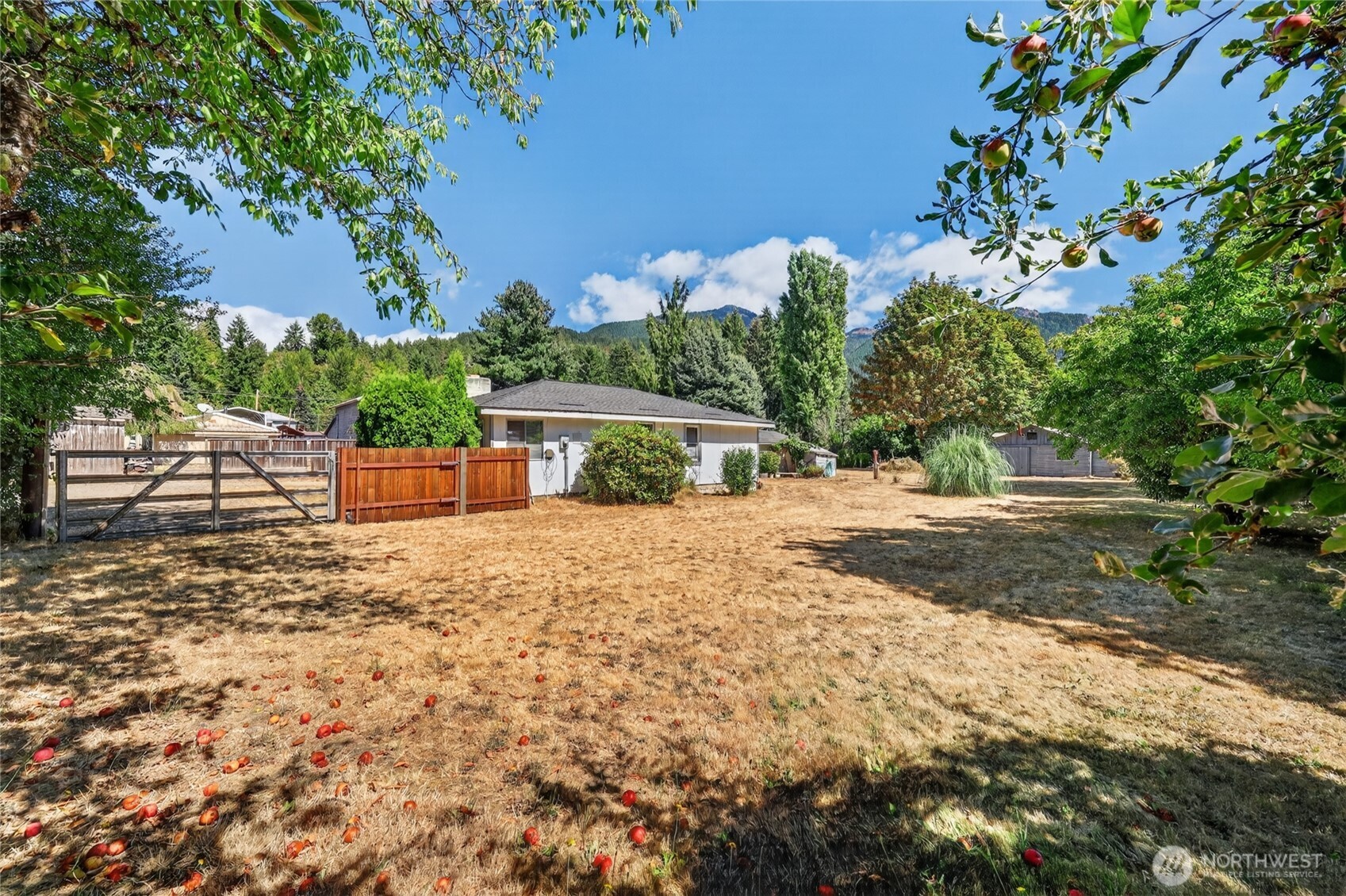 160 Gharet Road Randle, WA 98377 - Photo 33 of 39 Gallery Image 33