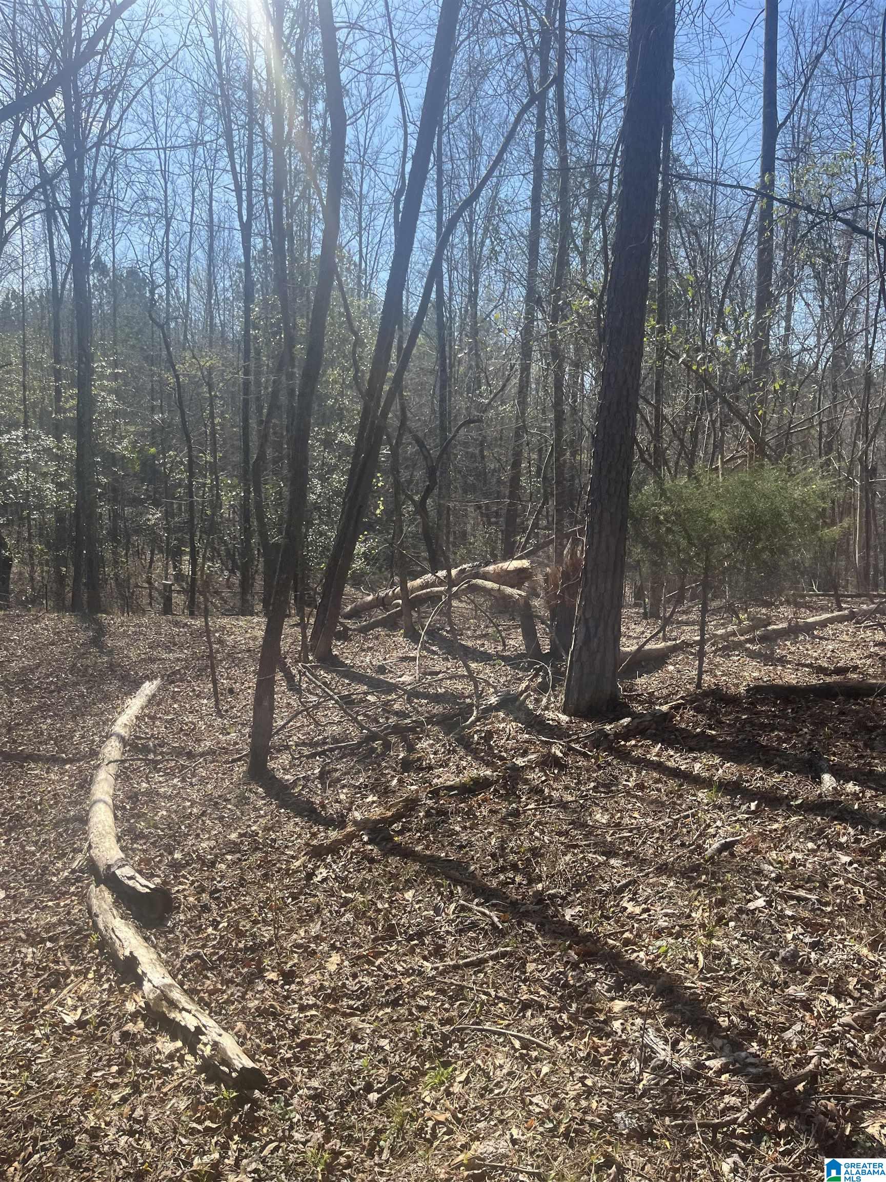 0 Crystal Lake Road West Blocton, AL 35184 - Photo 8 of 16