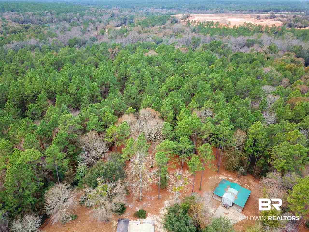14811 Timber Ridge Drive Loxley, AL 36551 - Photo 50 of 50 Surrounding Area