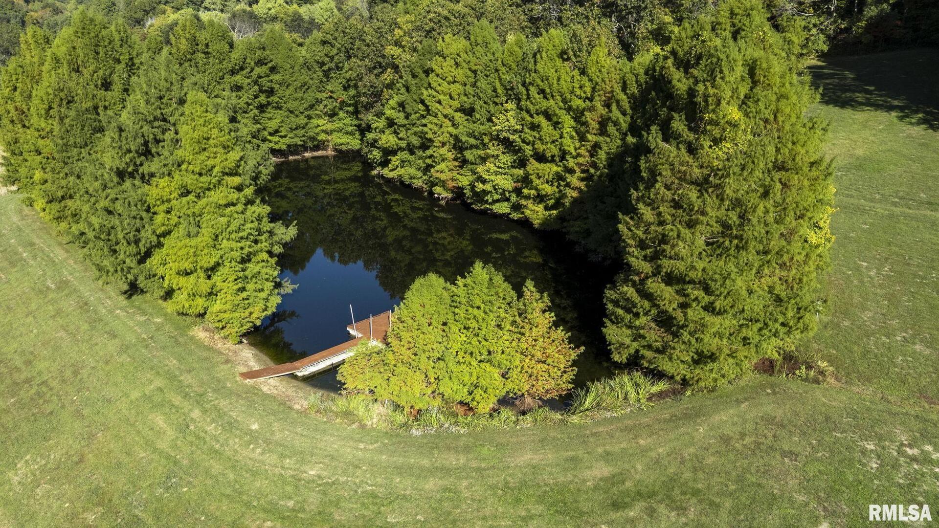 1810 Berryville Road Jonesboro, IL 62952 - Photo 41 of 60