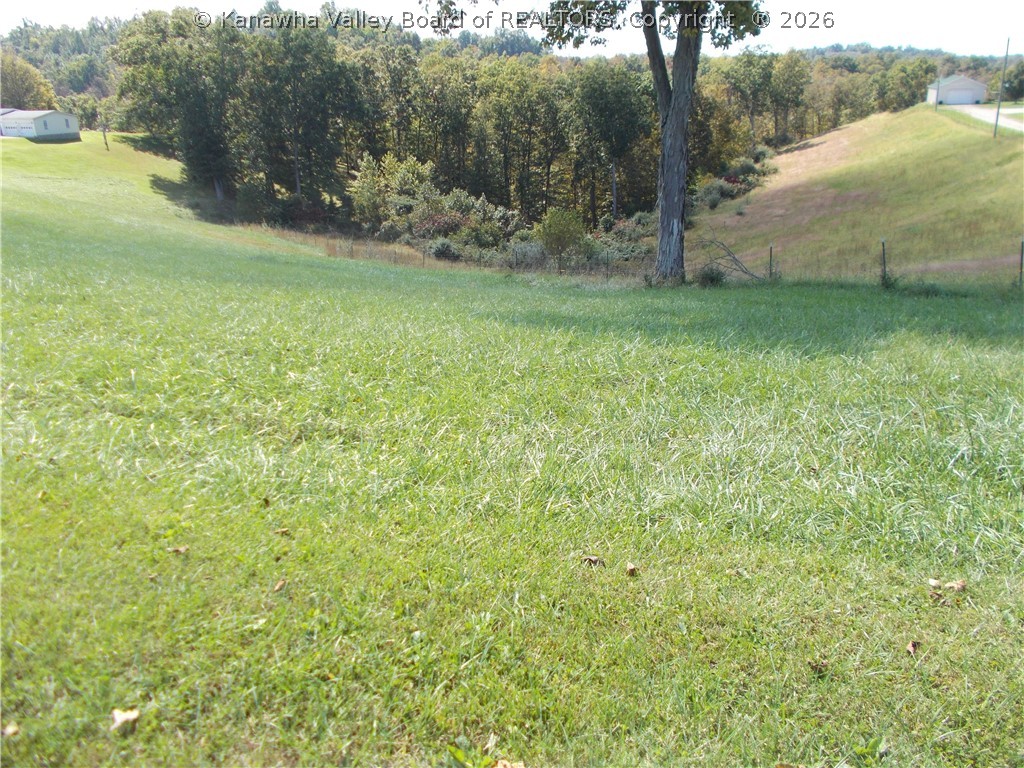 0 Mud Lick Road Liberty, WV 25124 - Photo 4 of 30 Gallery Image 4