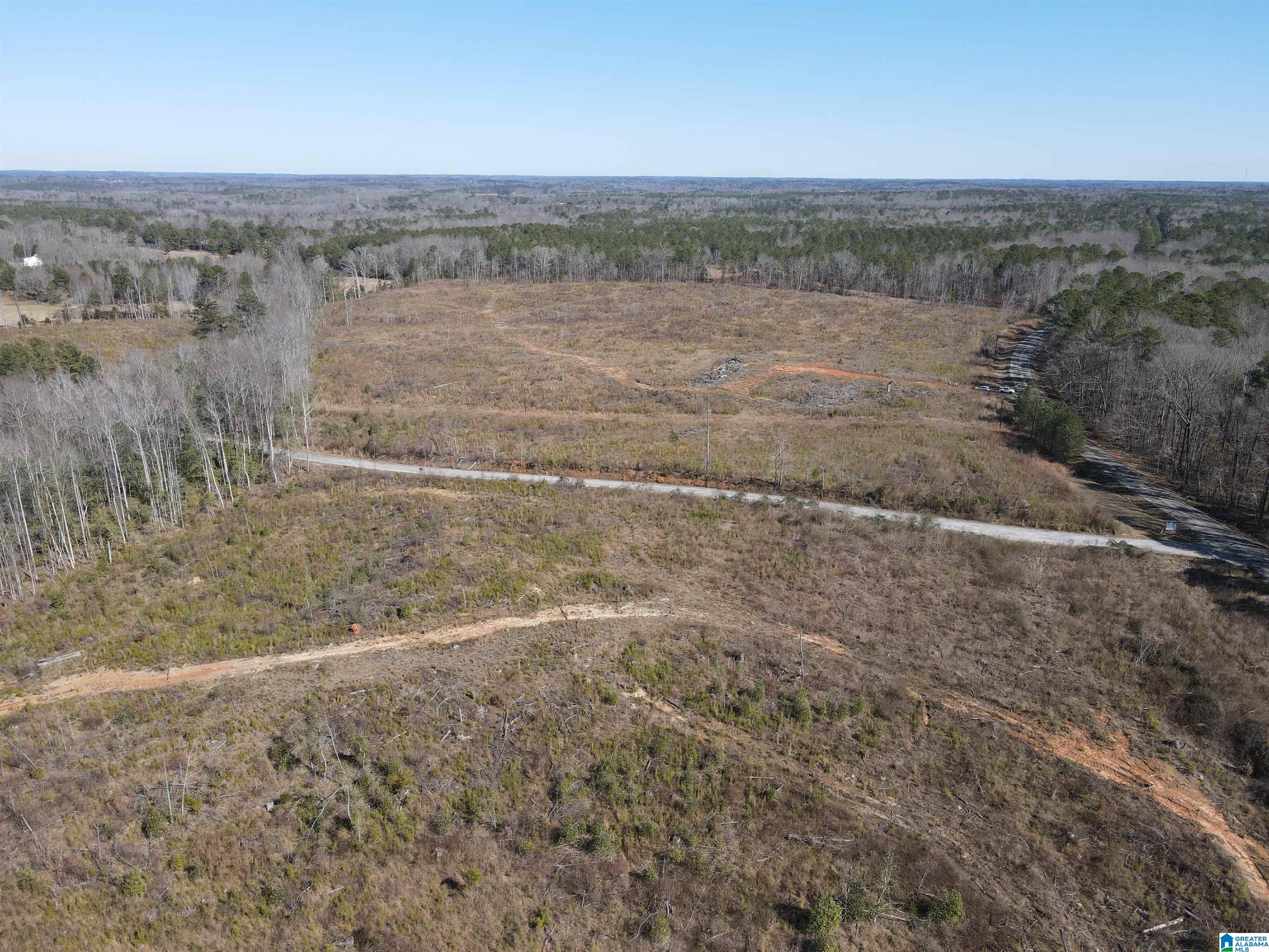 1 County Road 36, Unit 1 Randolph, AL 36792 - Photo 5 of 6