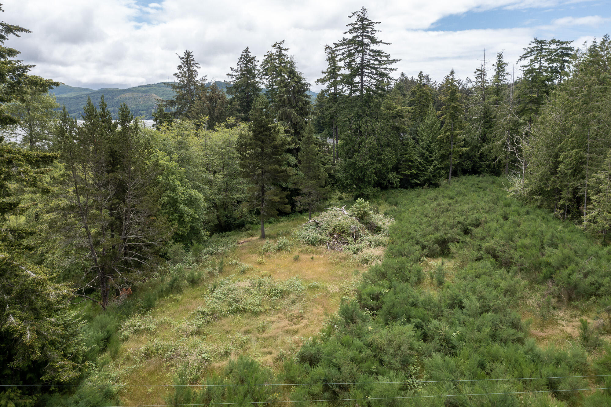 1300 Ocean Way Nehalem, OR 97131 - Photo 5 of 13 DJI_0392-HDR-1
