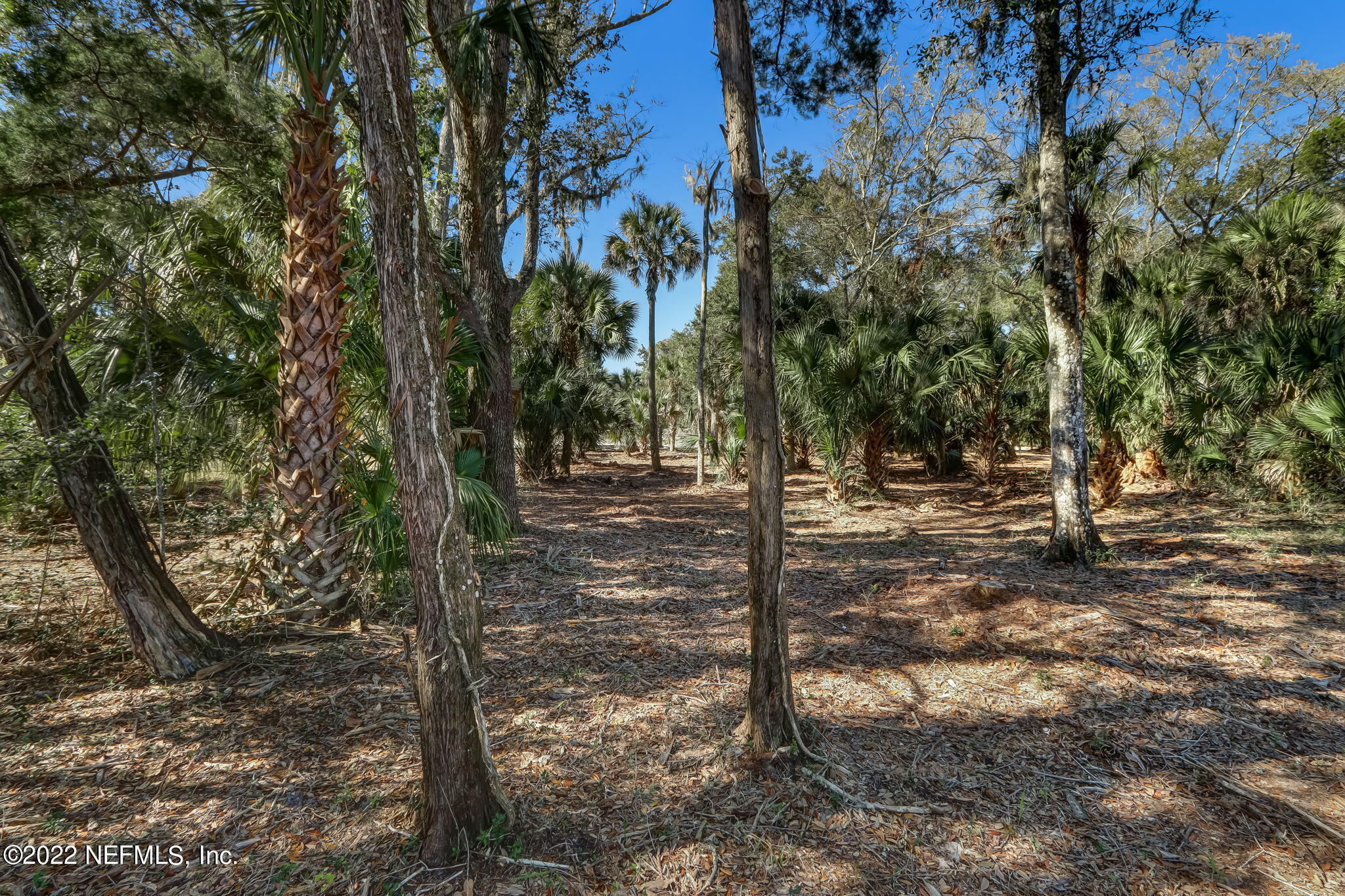 391 Shell Ridge Lane Ponte Vedra, FL 32081 - Photo 12 of 33 14-web-or-mls-14_River Landing Lot 57 Hi