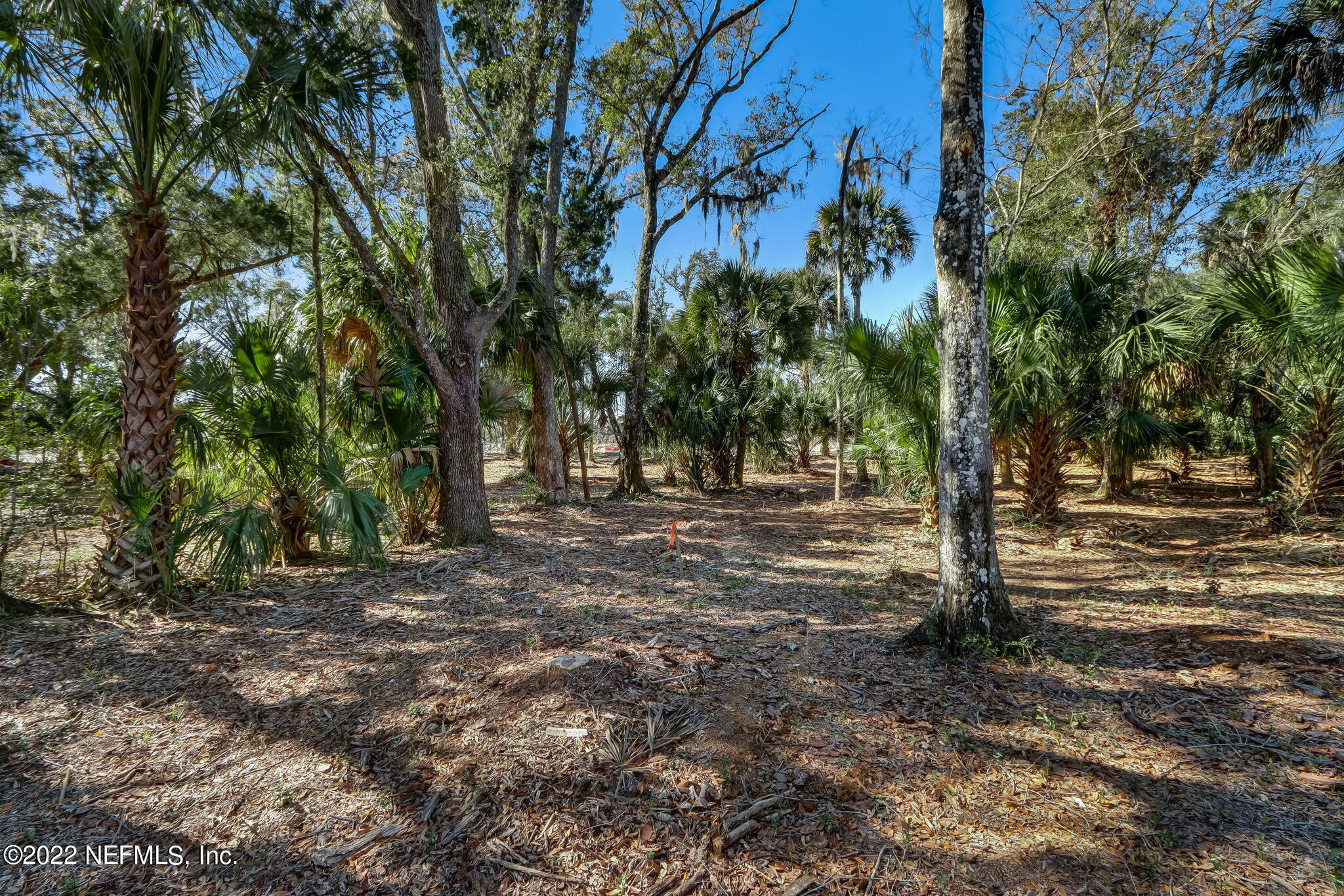 391 Shell Ridge Lane Ponte Vedra, FL 32081 - Photo 13 of 33 17-web-or-mls-17_River Landing Lot 57 Hi