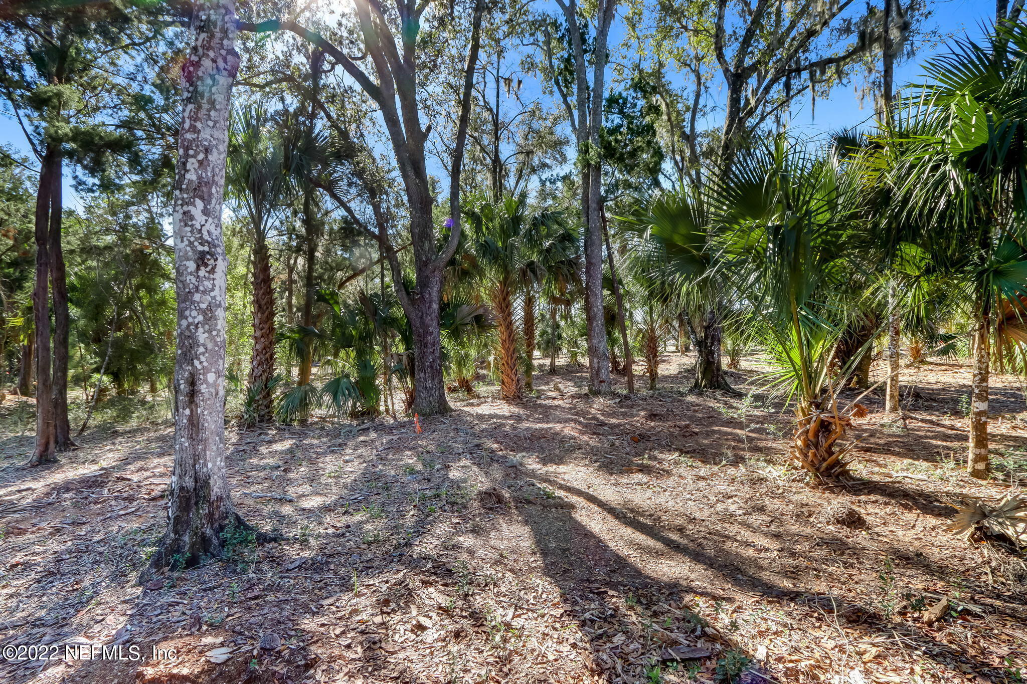 391 Shell Ridge Lane Ponte Vedra, FL 32081 - Photo 10 of 33 12-web-or-mls-12_River Landing Lot 57 Hi