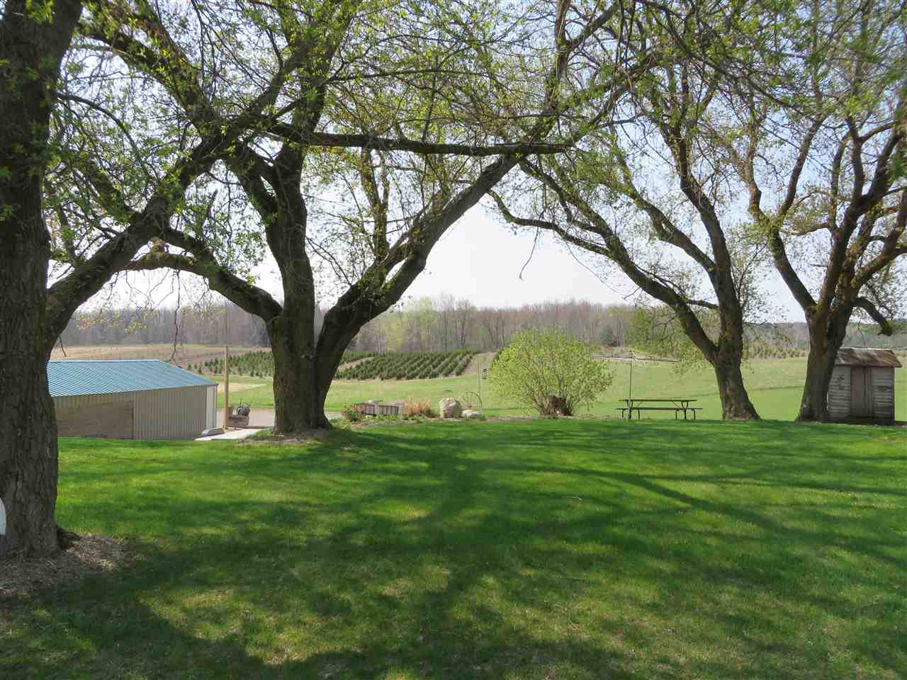 2179 West 16 Road Mesick, MI 49668 - Photo 9 of 34 1799403-8.JPG