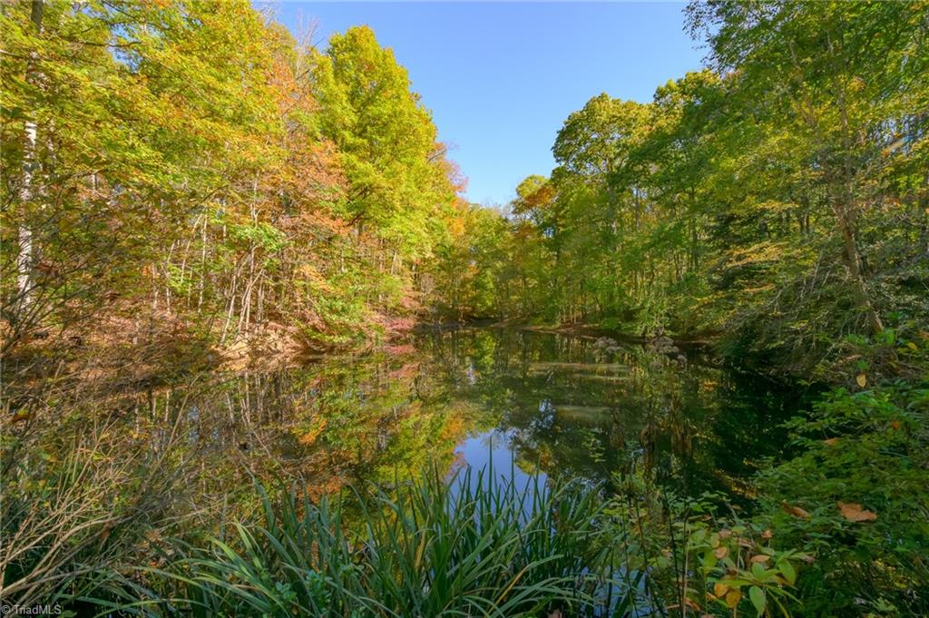 3314 Vienna Dozier Road Pfafftown, NC 27040 - Photo 3 of 32