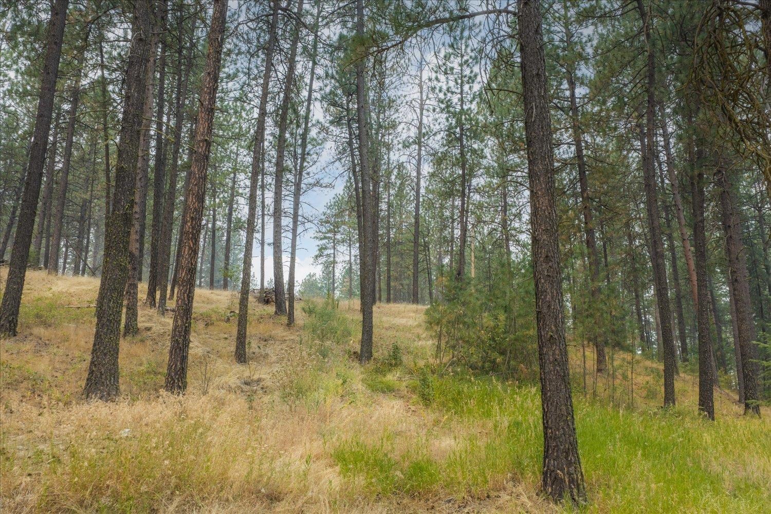 2505 North Christensen Road Medical Lake, WA 99022 - Photo 44 of 50 Gallery Image 44