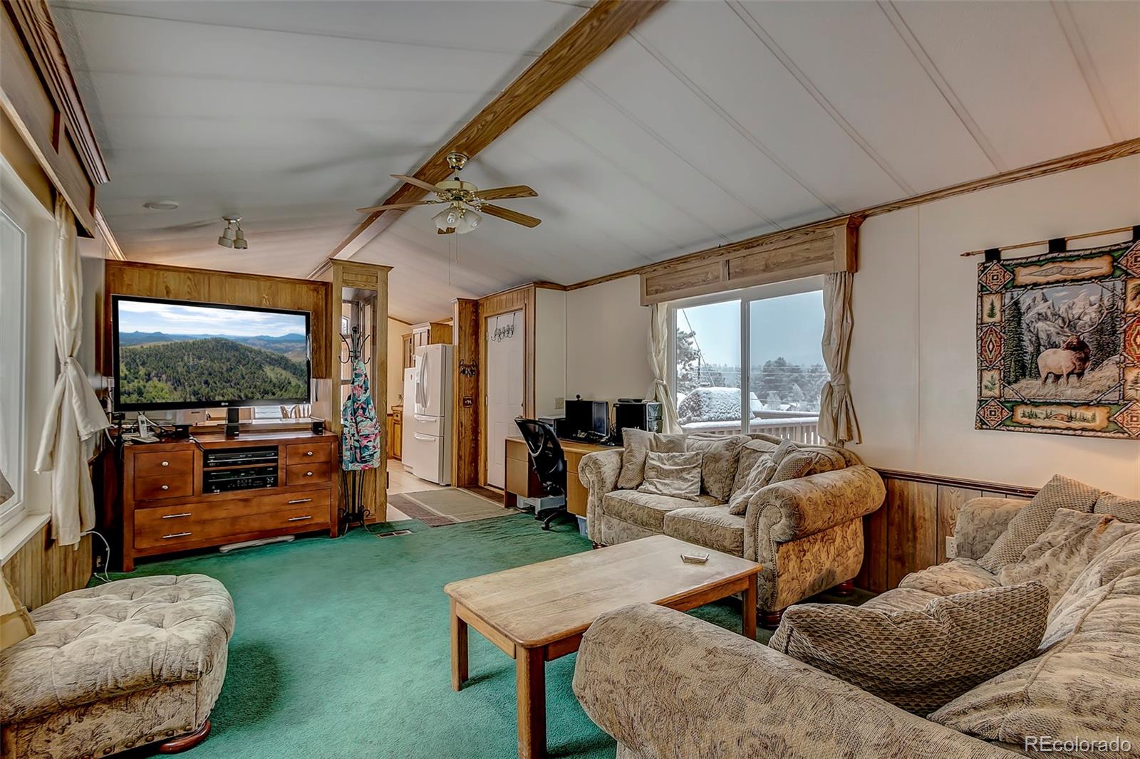 379 Neal Road Bailey, CO 80421 - Photo 5 of 19
