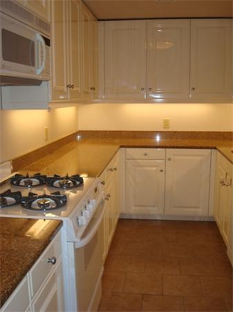 3 Avery Street, Unit 810 Boston, MA 02111 - Photo 8 of 16 a kitchen with a stove and a sink