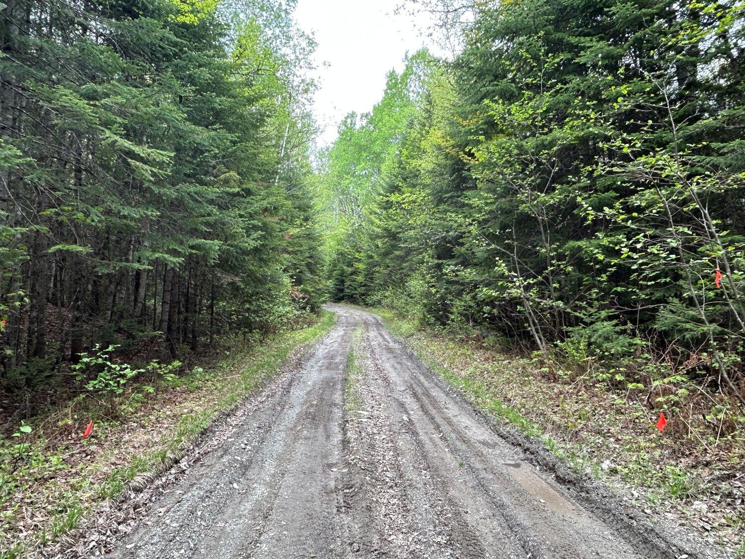 Lot 3 Scott Road Eustis, ME 04936 - Photo 6 of 26 Scott Rd where property begins