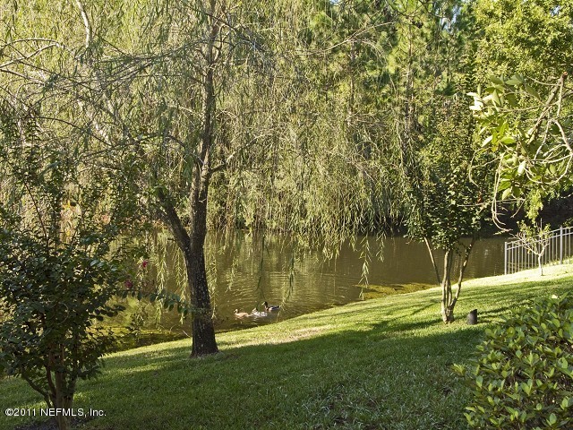 12930 Biggin Church Road South Jacksonville, FL 32224 - Photo 23 of 25 a view of yard with tree