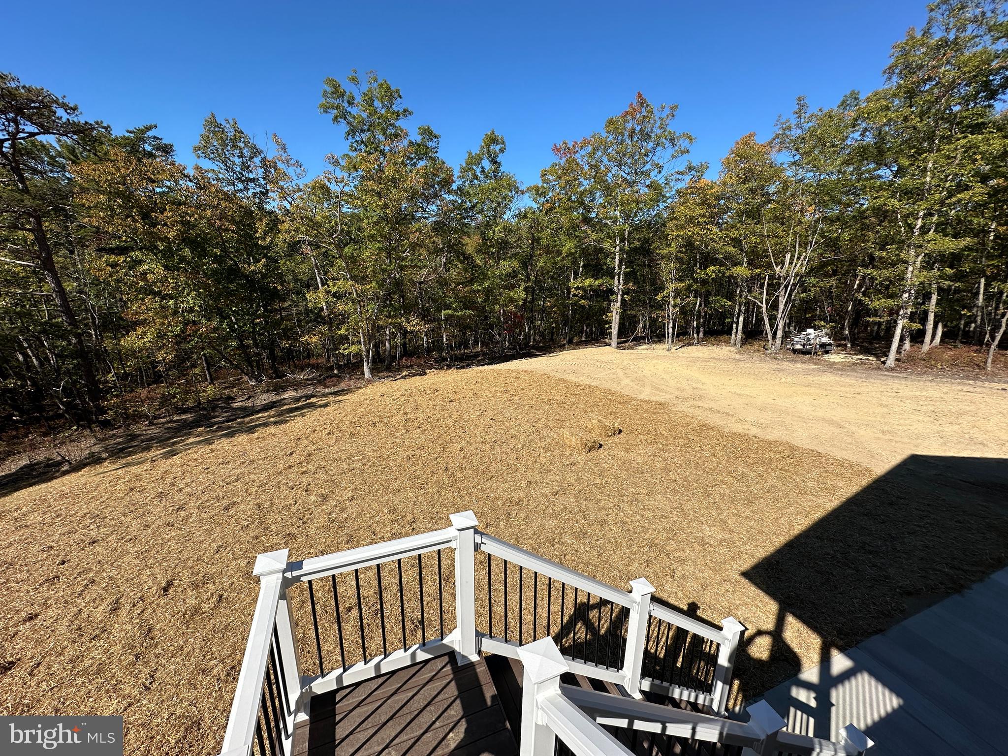 11-5-24 Stairs to Back Yard. Perfect for Pool!