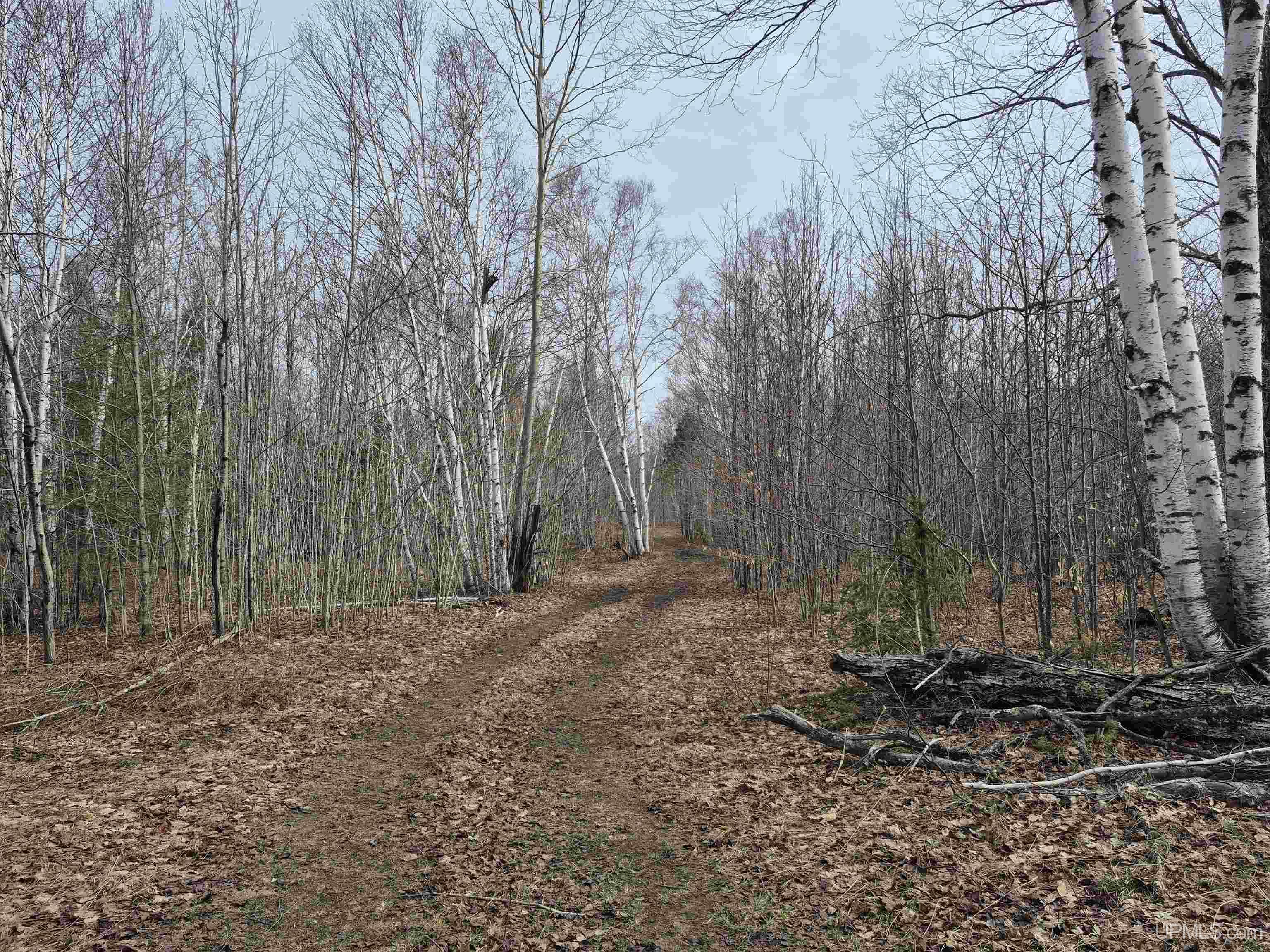 3754 Quarry Road Gulliver, MI 49840 - Photo 31 of 77