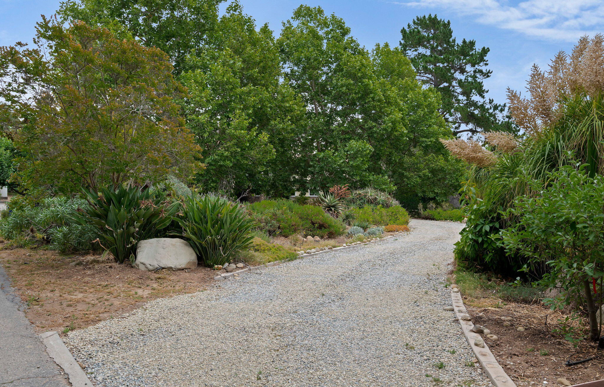 1442 South Rice Road Ojai, CA 93023 - Photo 41 of 54 55-Driveway & Gardens