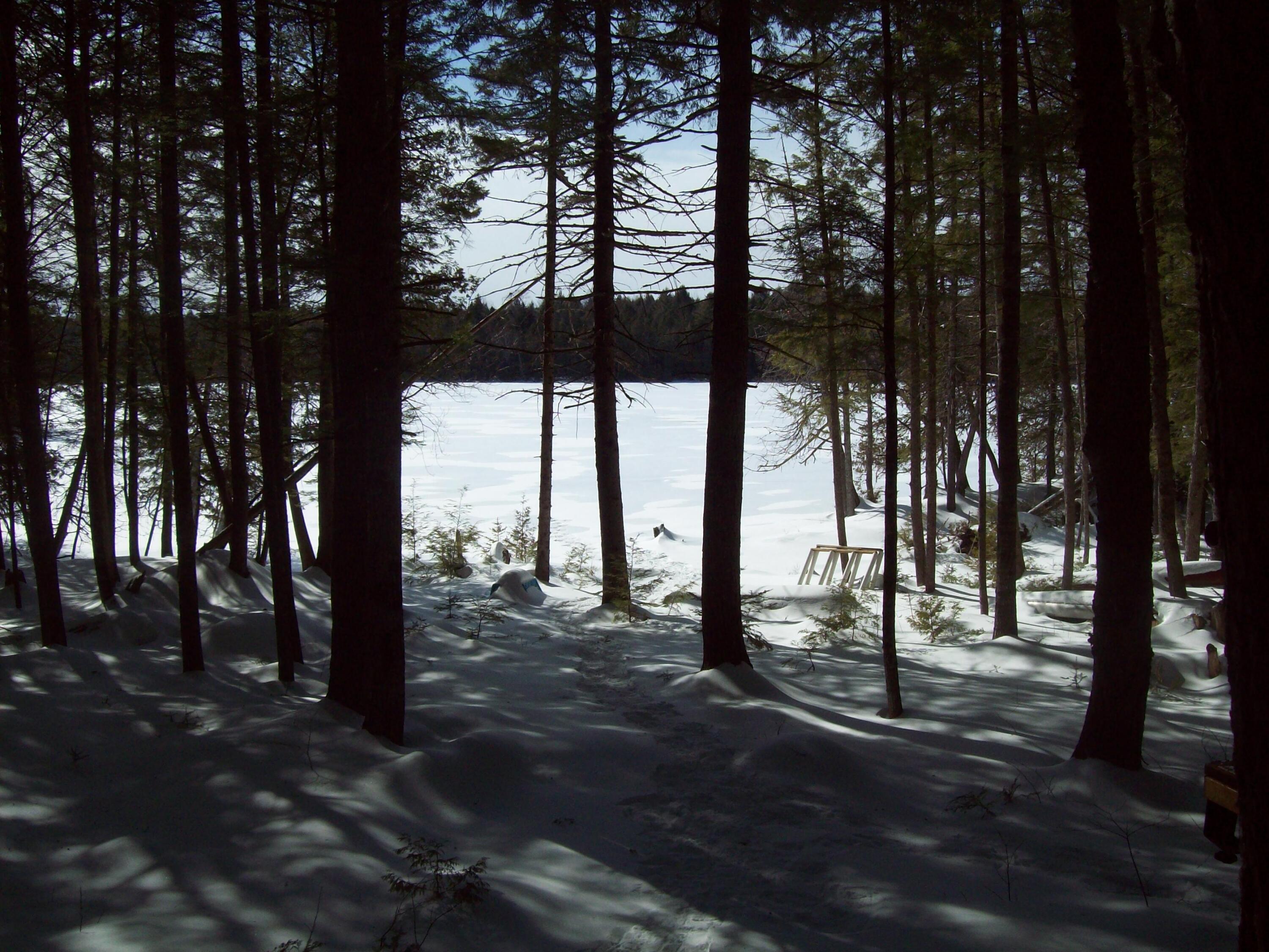 221 Upper Pug Road Lakeville, ME 04487 - Photo 13 of 13 100_1648
