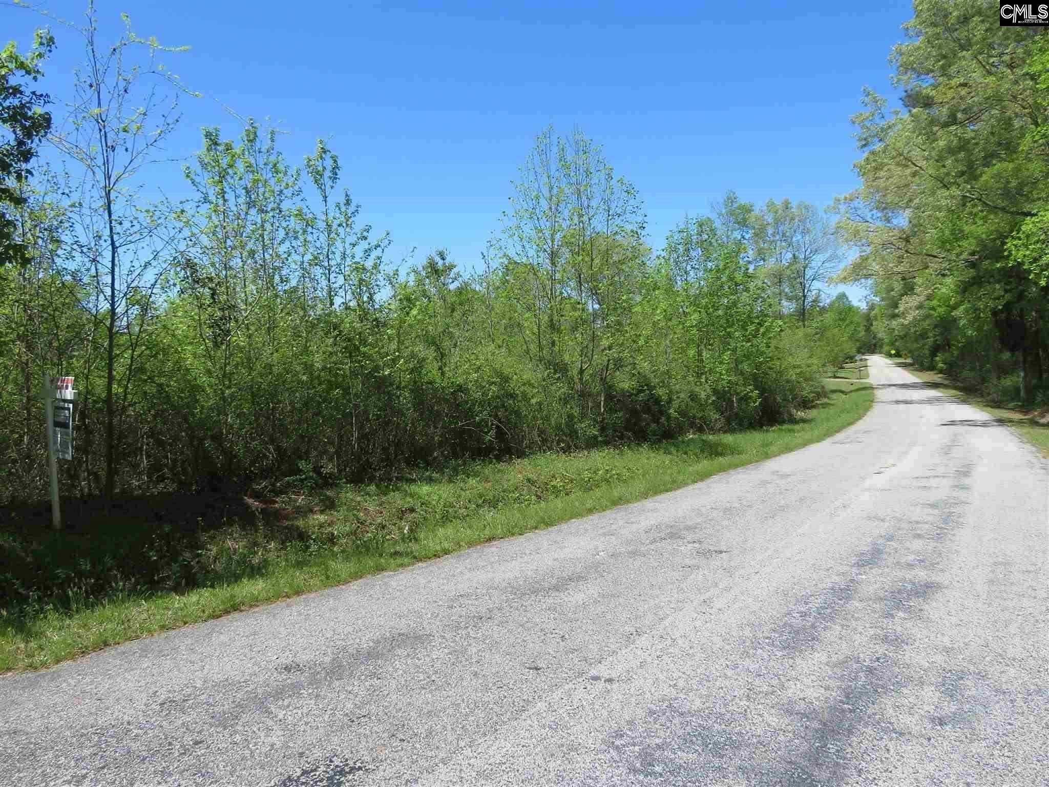 0 Parr Road Little Mountain, SC 29075 - Photo 2 of 2