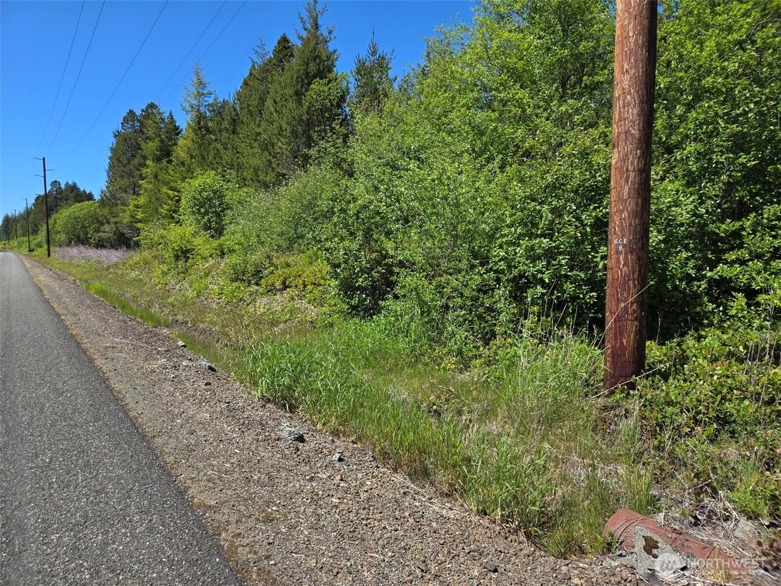 256 Walker Road Hoquiam, WA 98550 - Photo 2 of 12 a view of a garden with plants