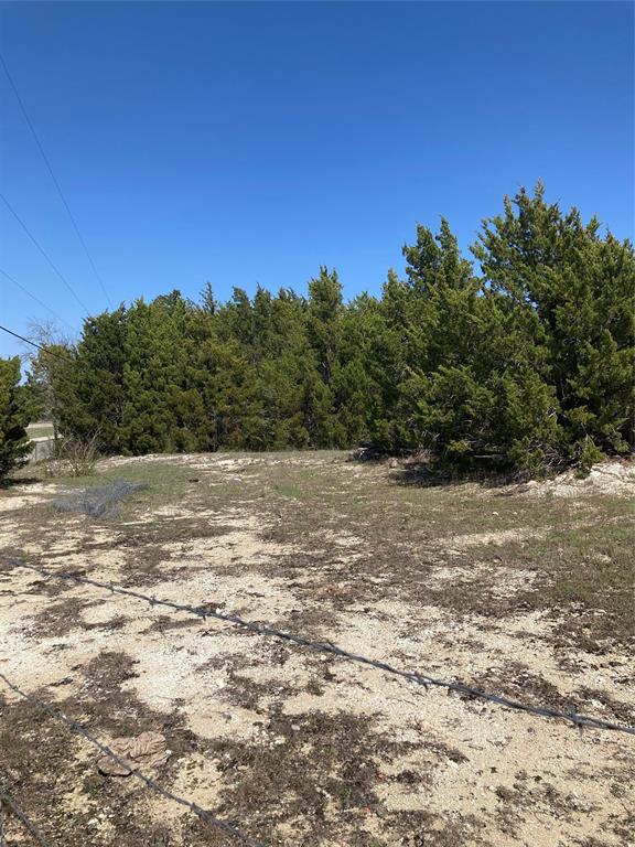 3710 Telephone Road Dallas, TX 75241 - Photo 13 of 32 View of nature with a view of trees sandy looking