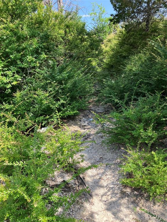 3710 Telephone Road Dallas, TX 75241 - Photo 23 of 32 View of undeveloped land