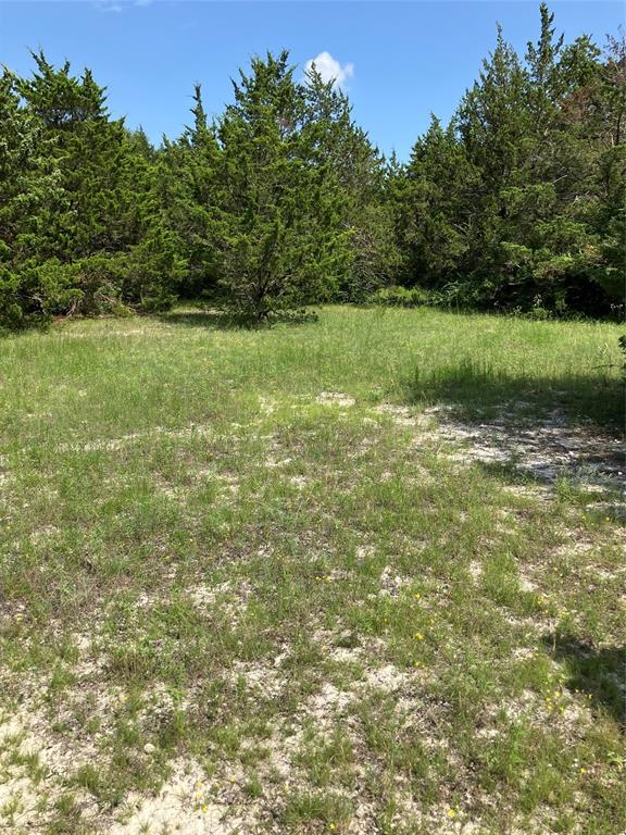 3710 Telephone Road Dallas, TX 75241 - Photo 24 of 32 View of yard featuring a view of trees