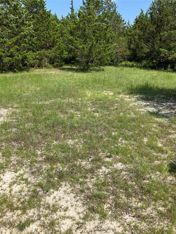 3710 Telephone Road Dallas, TX 75241 - Photo 25 of 32 View of yard