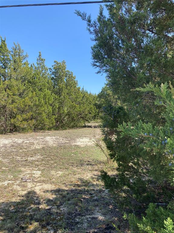 3710 Telephone Road Dallas, TX 75241 - Photo 9 of 32 View of nature with a wooded view most of the land was left natural although long horn cows grazed the land for several years.