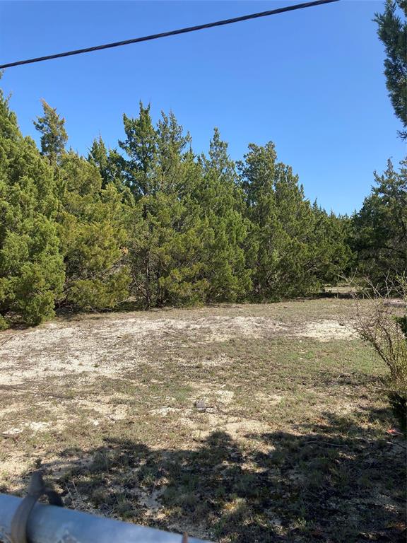 3710 Telephone Road Dallas, TX 75241 - Photo 10 of 32 View of yard with a wooded view
