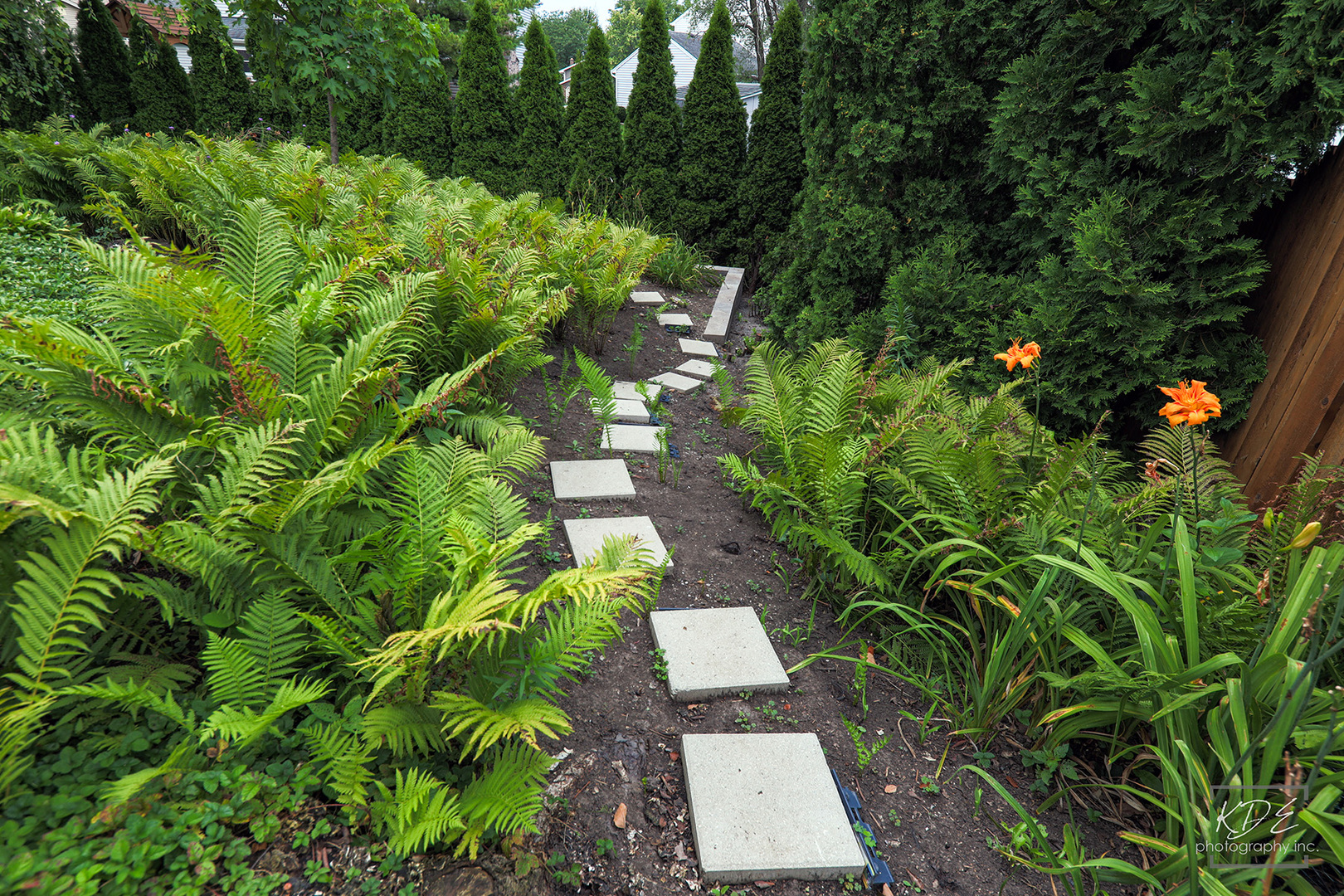 1505 Ranchview Drive Naperville, IL 60565 - Photo 29 of 36 an aerial view of a house with a yard