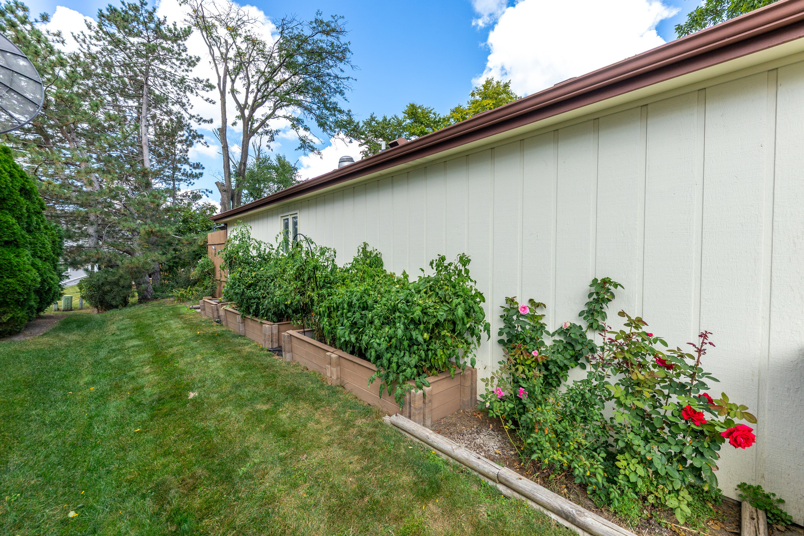 1505 Ranchview Drive Naperville, IL 60565 - Photo 34 of 36 a backyard of a house with lots of green space