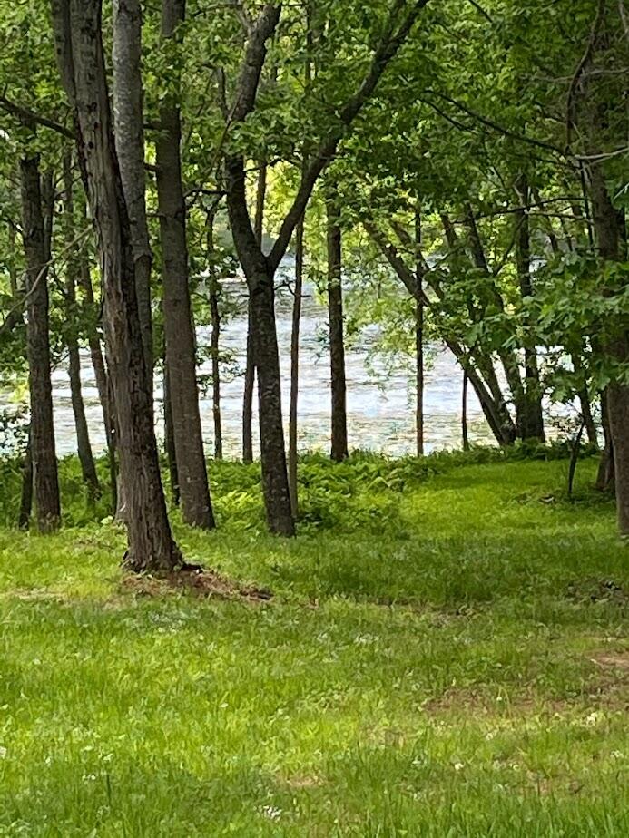 5 North Chester Road Chester, ME 04457 - Photo 85 of 107 Spring_Summer