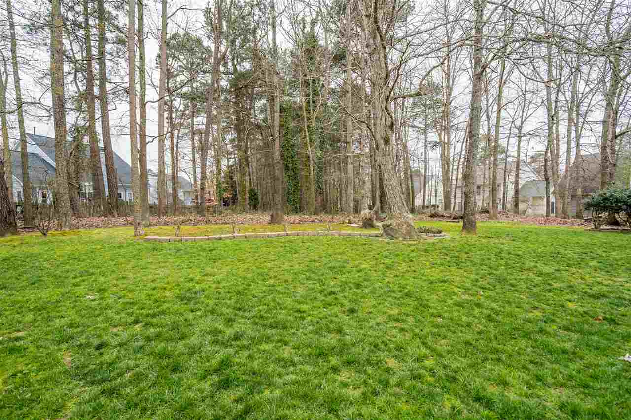 5213 Denmead Way Raleigh, NC 27613 - Photo 24 of 25 a garden view