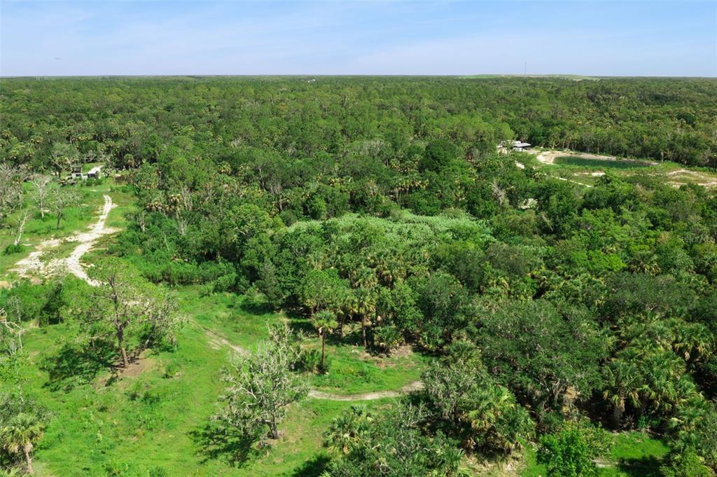 Canvasback Trail Geneva, FL 32732 - Photo 9 of 16
