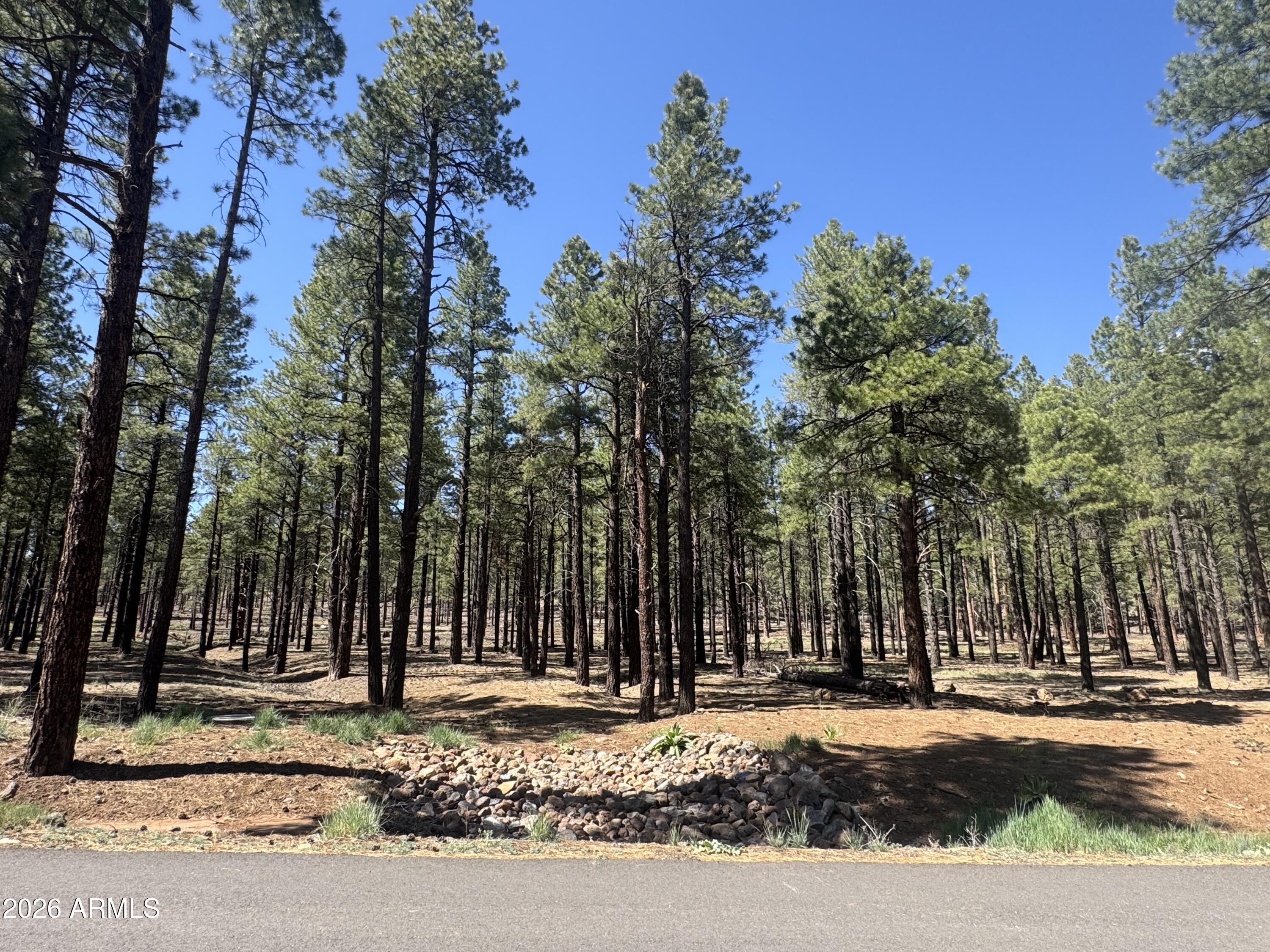 7690 Taylor Spring Lane, Unit 63 Flagstaff, AZ 86001 - Photo 3 of 7 a view of a house with a trees in the background