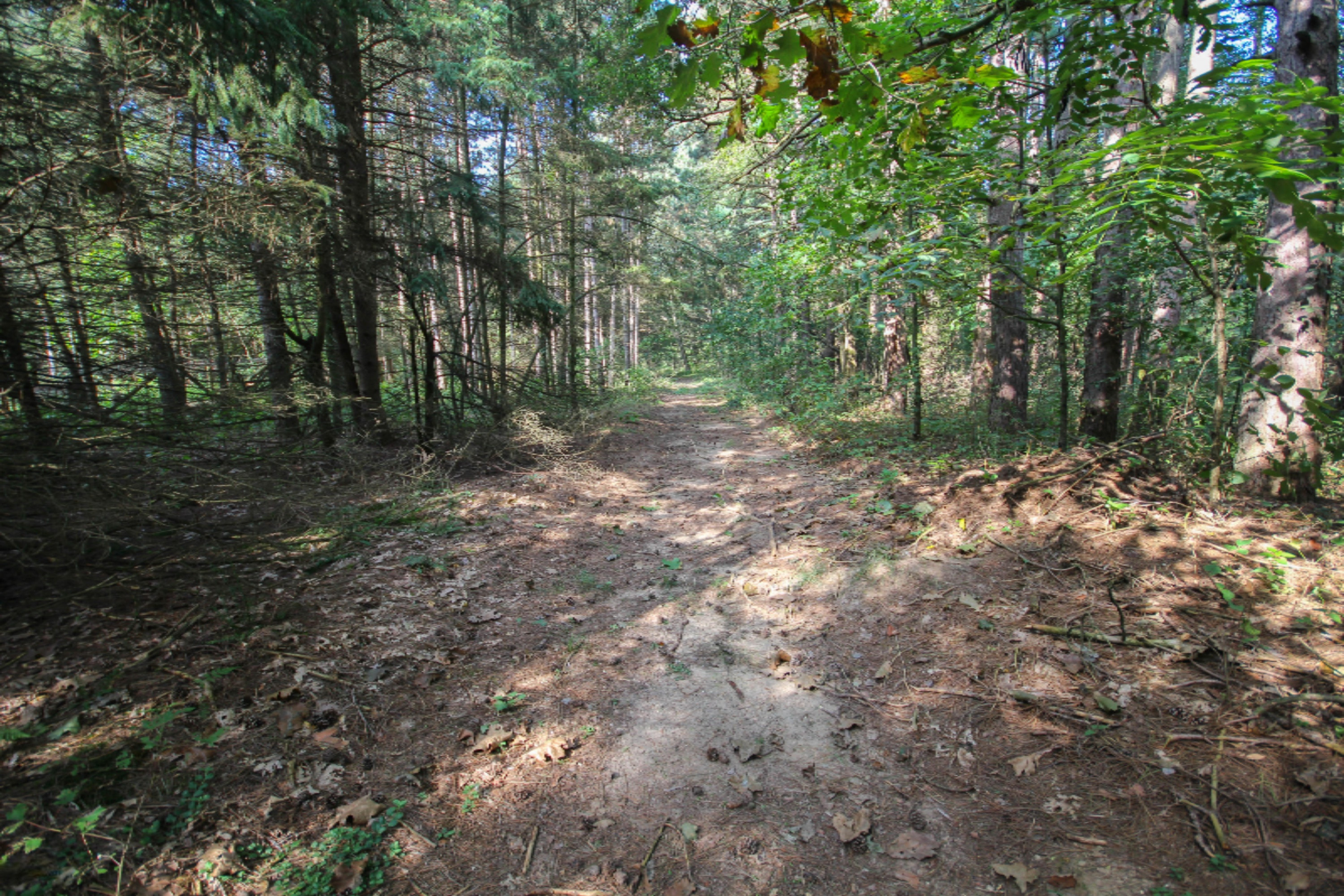 52789 Johnson Road Three Rivers, MI 49093 - Photo 11 of 41 untitled (29 of 42)
