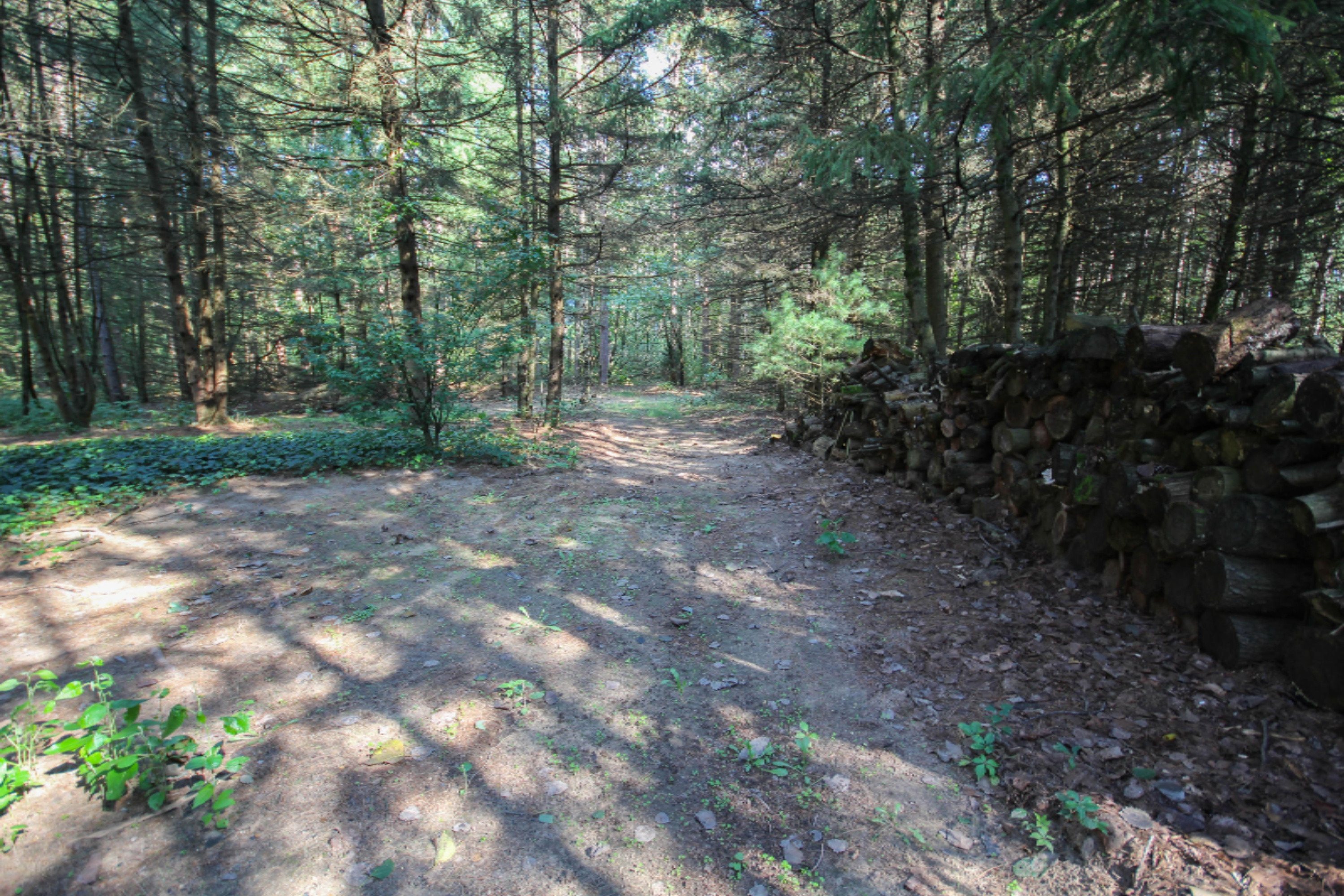 52789 Johnson Road Three Rivers, MI 49093 - Photo 9 of 41 untitled (27 of 42)