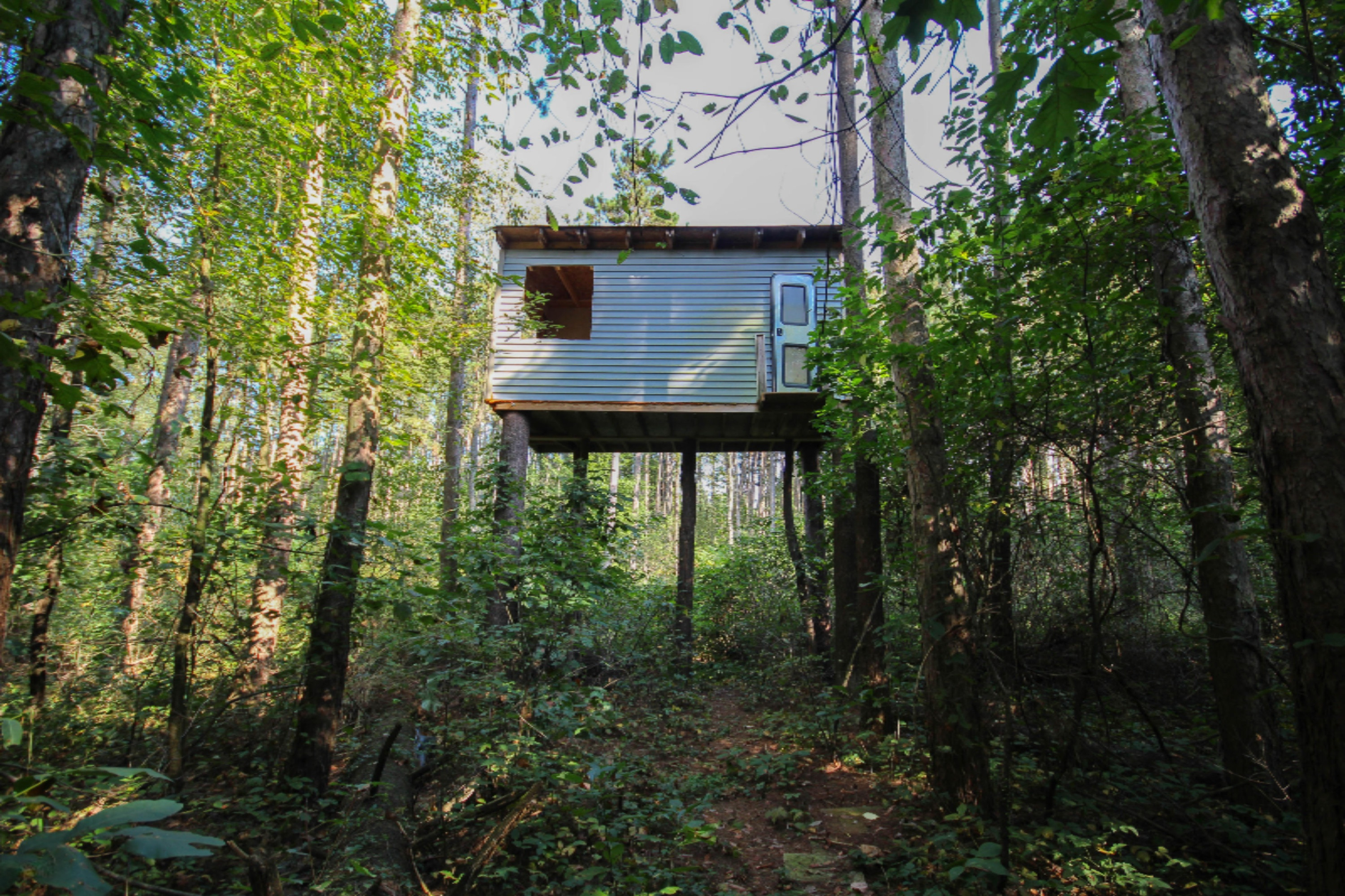 52789 Johnson Road Three Rivers, MI 49093 - Photo 10 of 41 untitled (28 of 42)