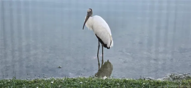 a kitchen with granite countertop white cabinets and sink