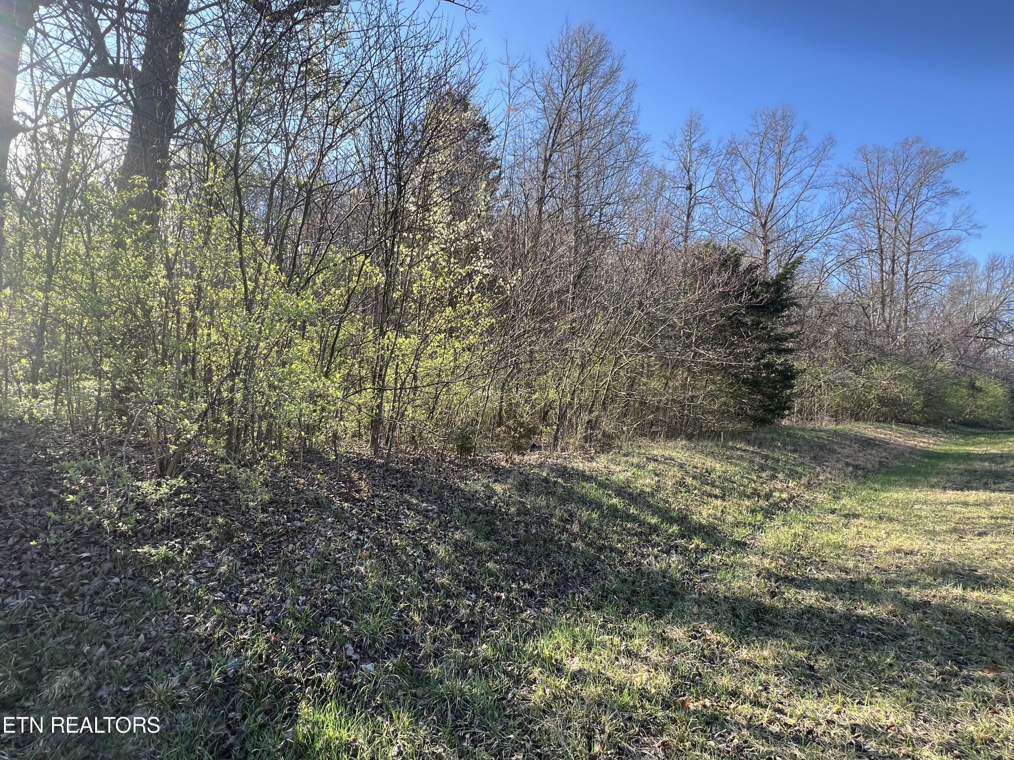 0 Rutledge Pike Corryton, TN 37721 - Photo 1 of 24