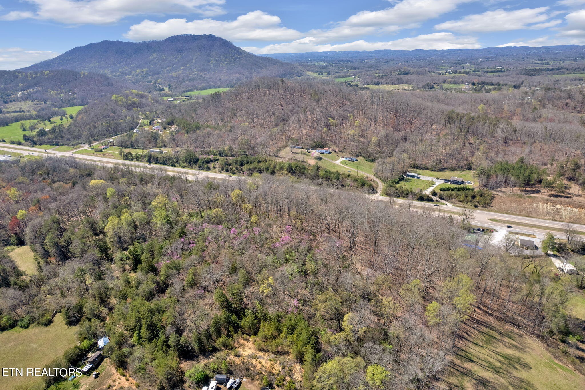 0 Rutledge Pike Corryton, TN 37721 - Photo 12 of 24