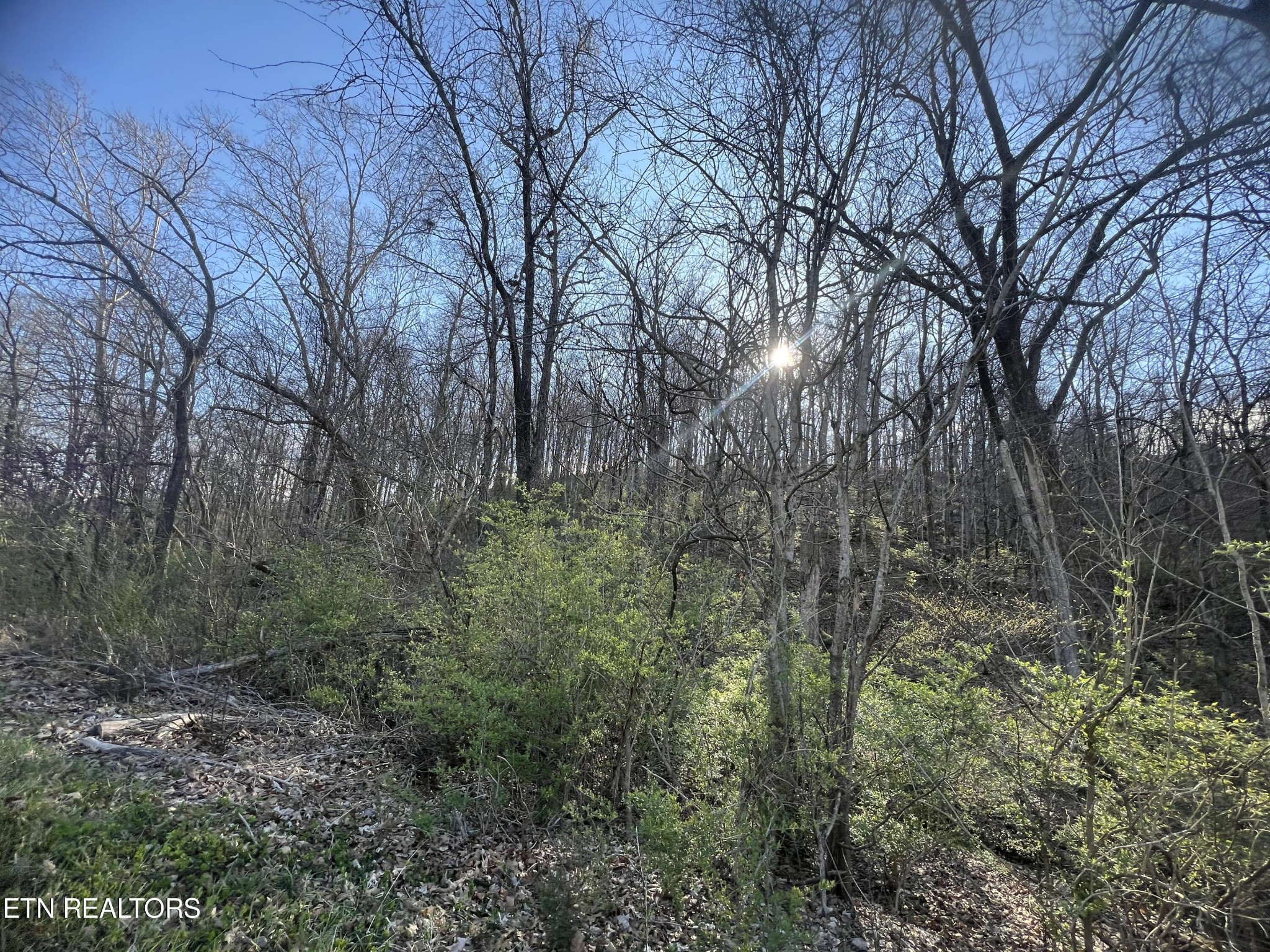 0 Rutledge Pike Corryton, TN 37721 - Photo 19 of 24